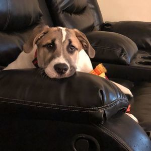 Meet your Posher, Lori